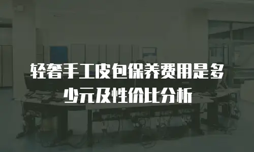 轻奢手工皮包保养费用是多少元及性价比分析