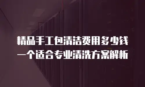 精品手工包清洁费用多少钱一个适合专业清洗方案解析