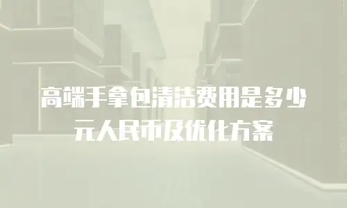 高端手拿包清洁费用是多少元人民币及优化方案