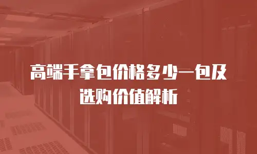 高端手拿包价格多少一包及选购价值解析
