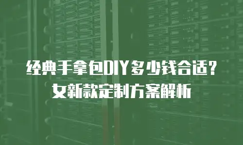 经典手拿包DIY多少钱合适？女新款定制方案解析