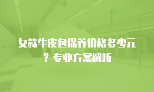 女款牛皮包保养价格多少元？专业方案解析