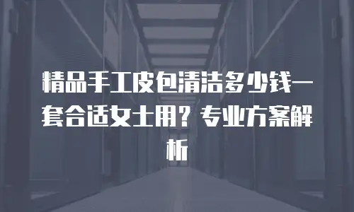 精品手工皮包清洁多少钱一套合适女士用？专业方案解析