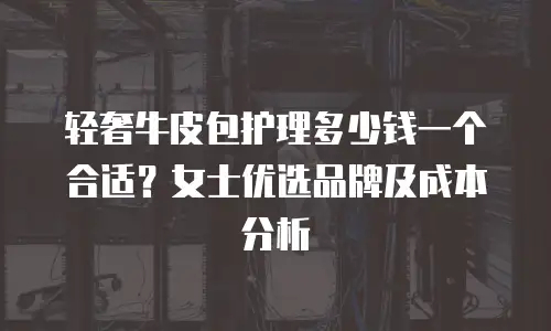 轻奢牛皮包护理多少钱一个合适？女士优选品牌及成本分析