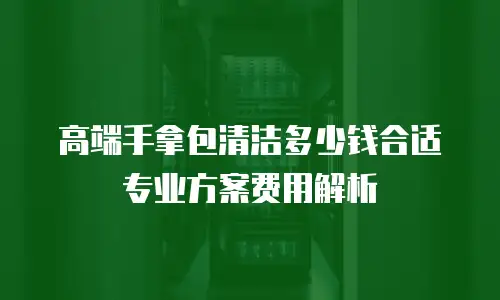 高端手拿包清洁多少钱合适 专业方案费用解析