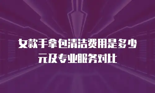 女款手拿包清洁费用是多少元及专业服务对比
