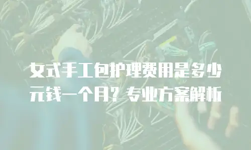 女式手工包护理费用是多少元钱一个月？专业方案解析