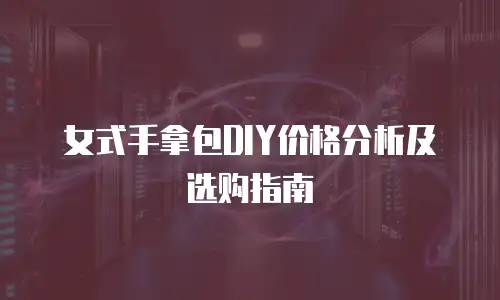 女式手拿包DIY价格分析及选购指南