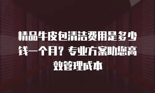 精品牛皮包清洁费用是多少钱一个月？专业方案助您高效管理成本