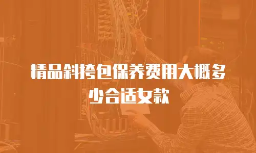 精品斜挎包保养费用大概多少合适女款