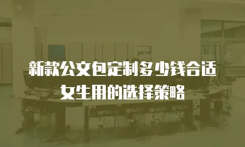 新款公文包定制多少钱合适女生用的选择策略