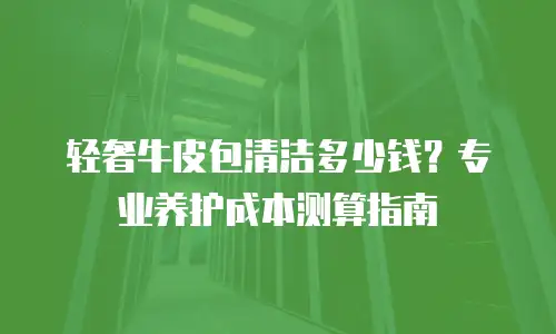轻奢牛皮包清洁多少钱？专业养护成本测算指南