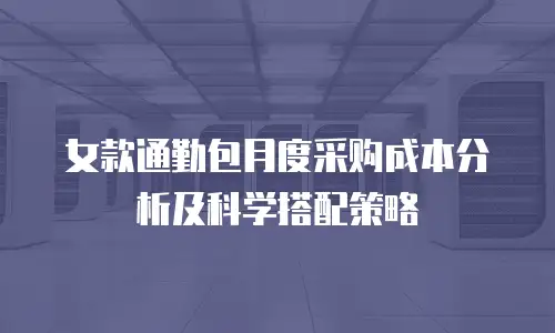女款通勤包月度采购成本分析及科学搭配策略