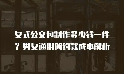 女式公文包制作多少钱一件？男女通用简约款成本解析