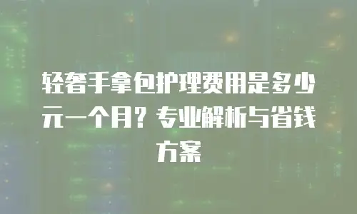 轻奢手拿包护理费用是多少元一个月？专业解析与省钱方案