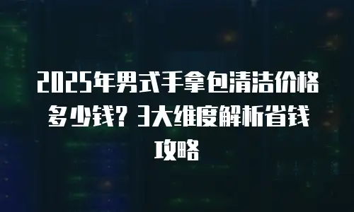 2025年男式手拿包清洁价格多少钱？3大维度解析省钱攻略