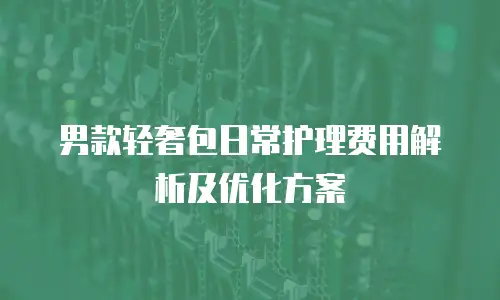 男款轻奢包日常护理费用解析及优化方案
