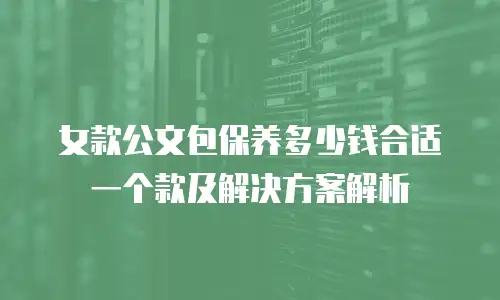 女款公文包保养多少钱合适一个款及解决方案解析