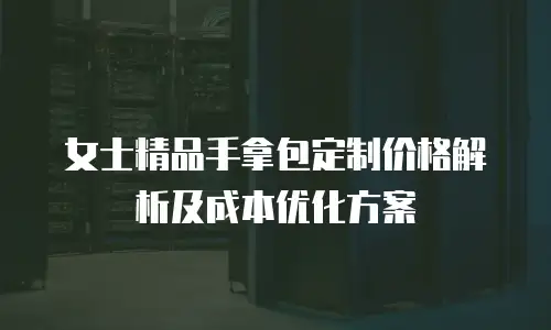 女士精品手拿包定制价格解析及成本优化方案