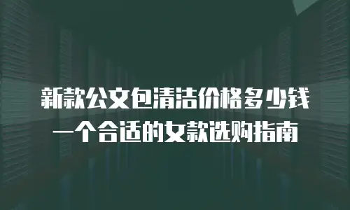 新款公文包清洁价格多少钱 一个合适的女款选购指南