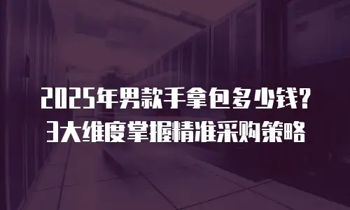 2025年男款手拿包多少钱？3大维度掌握精准采购策略