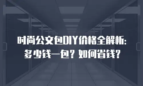 时尚公文包DIY价格全解析：多少钱一包？如何省钱？