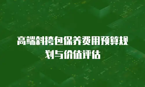 高端斜挎包保养费用预算规划与价值评估
