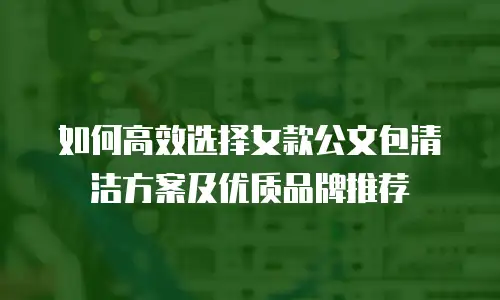 如何高效选择女款公文包清洁方案及优质品牌推荐