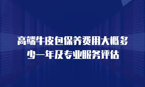 高端牛皮包保养费用大概多少一年及专业服务评估