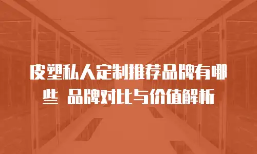 皮塑私人定制推荐品牌有哪些 品牌对比与价值解析