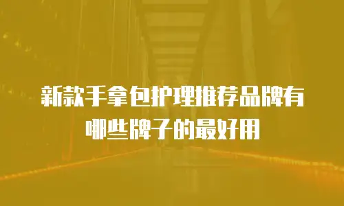 新款手拿包护理推荐品牌有哪些牌子的最好用