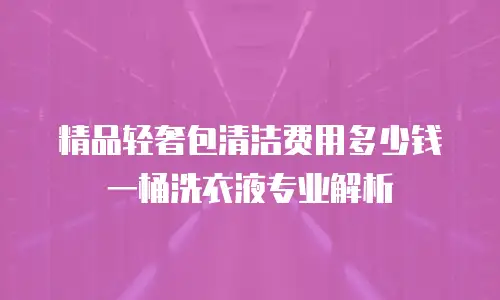 精品轻奢包清洁费用多少钱一桶洗衣液专业解析