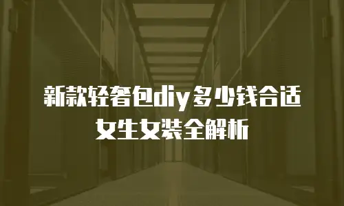 新款轻奢包diy多少钱合适女生女装全解析