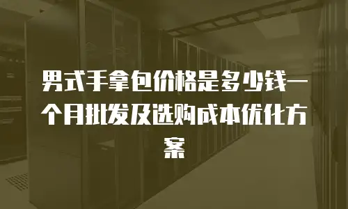 男式手拿包价格是多少钱一个月批发及选购成本优化方案