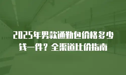 2025年男款通勤包价格多少钱一件？全渠道比价指南
