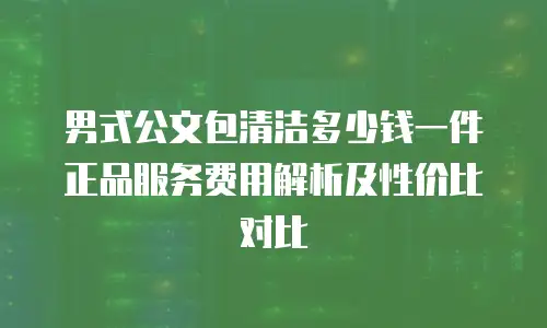 男式公文包清洁多少钱一件 正品服务费用解析及性价比对比