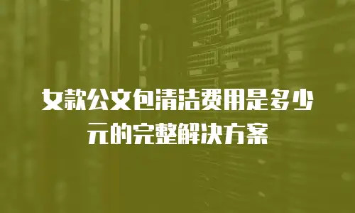 女款公文包清洁费用是多少元的完整解决方案