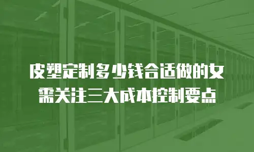 皮塑定制多少钱合适做的女需关注三大成本控制要点