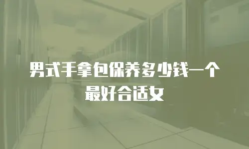 男式手拿包保养多少钱一个最好合适女