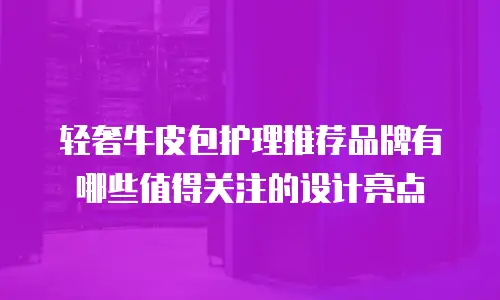轻奢牛皮包护理推荐品牌有哪些值得关注的设计亮点