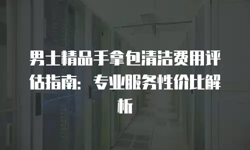 男士精品手拿包清洁费用评估指南：专业服务性价比解析