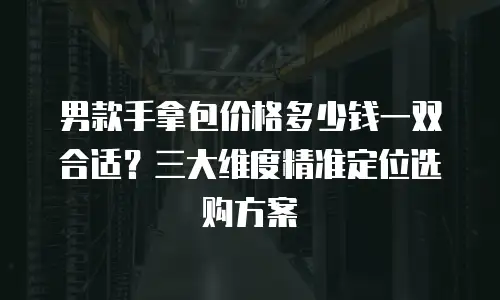 男款手拿包价格多少钱一双合适？三大维度精准定位选购方案