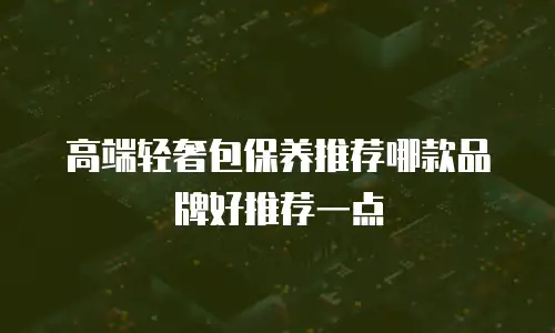 高端轻奢包保养推荐哪款品牌好推荐一点