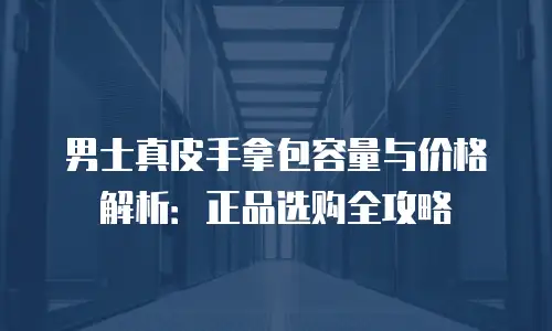 男士真皮手拿包容量与价格解析：正品选购全攻略