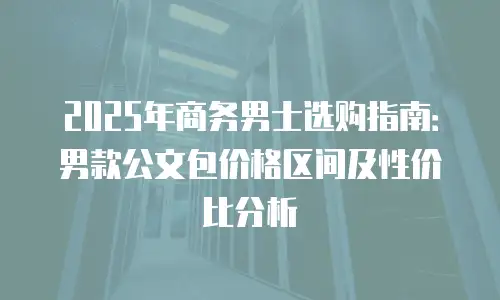 2025年商务男士选购指南：男款公文包价格区间及性价比分析