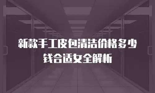 新款手工皮包清洁价格多少钱合适女全解析