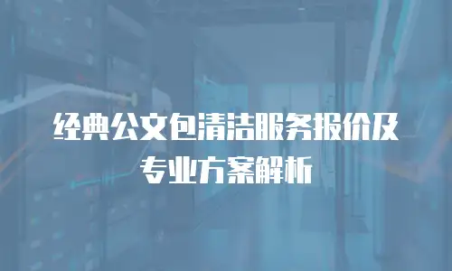 经典公文包清洁服务报价及专业方案解析