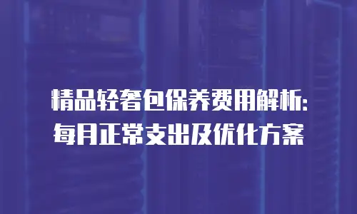 精品轻奢包保养费用解析：每月正常支出及优化方案
