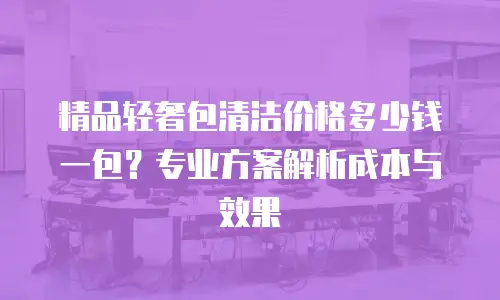 精品轻奢包清洁价格多少钱一包？专业方案解析成本与效果