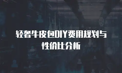 轻奢牛皮包DIY费用规划与性价比分析